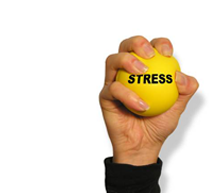 Stress Balls