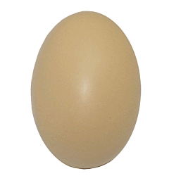 GK517 Brown Egg Stress Reliever Ball