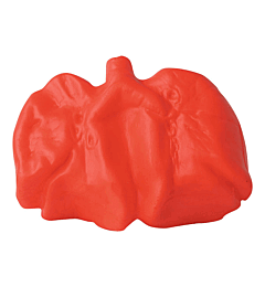 GK244 Lungs Stress Reliever Ball