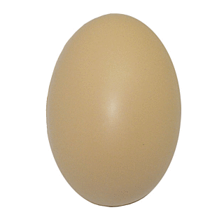 GK517 Brown Egg Stress Reliever Ball