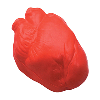 GK241 Anatomical Heart Stress Reliever Ball
