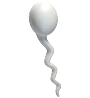 GK252 Sperm Stress Reliever Ball