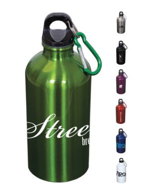 17 oz Stainless Steel Water Bottle