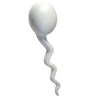 GK252 Sperm Stress Reliever Ball