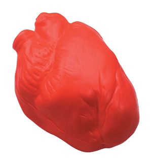 GK241 Anatomical Heart Stress Reliever Ball