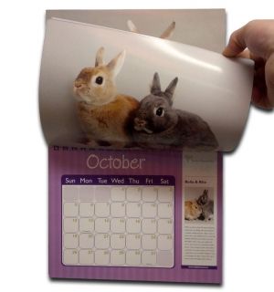 12 Month Photo Calendar 11