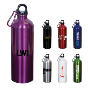 25 oz Stainless Steel Water Bottle