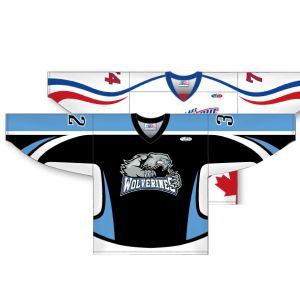 ZH200 Series: AK-Knit Sublimated Hockey Jersey with Half Arm & Side Inserts