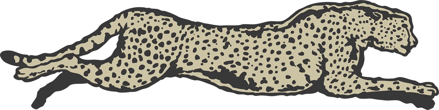 Cheetah