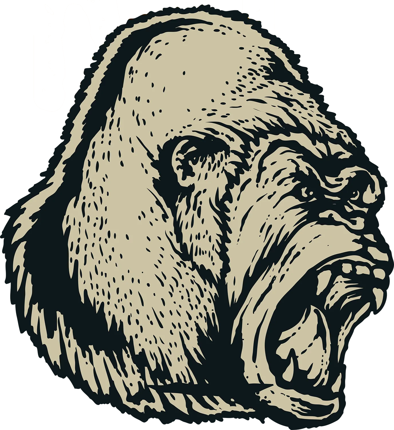 Gorrila