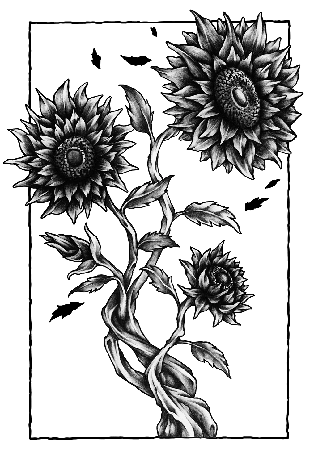 Growing