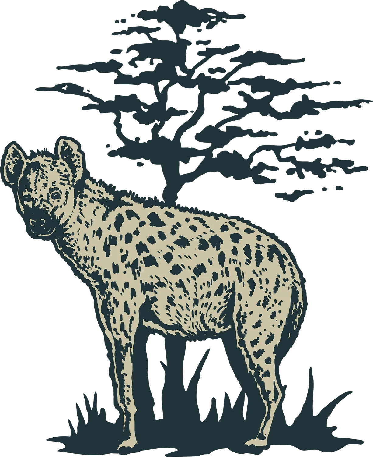 Hyena