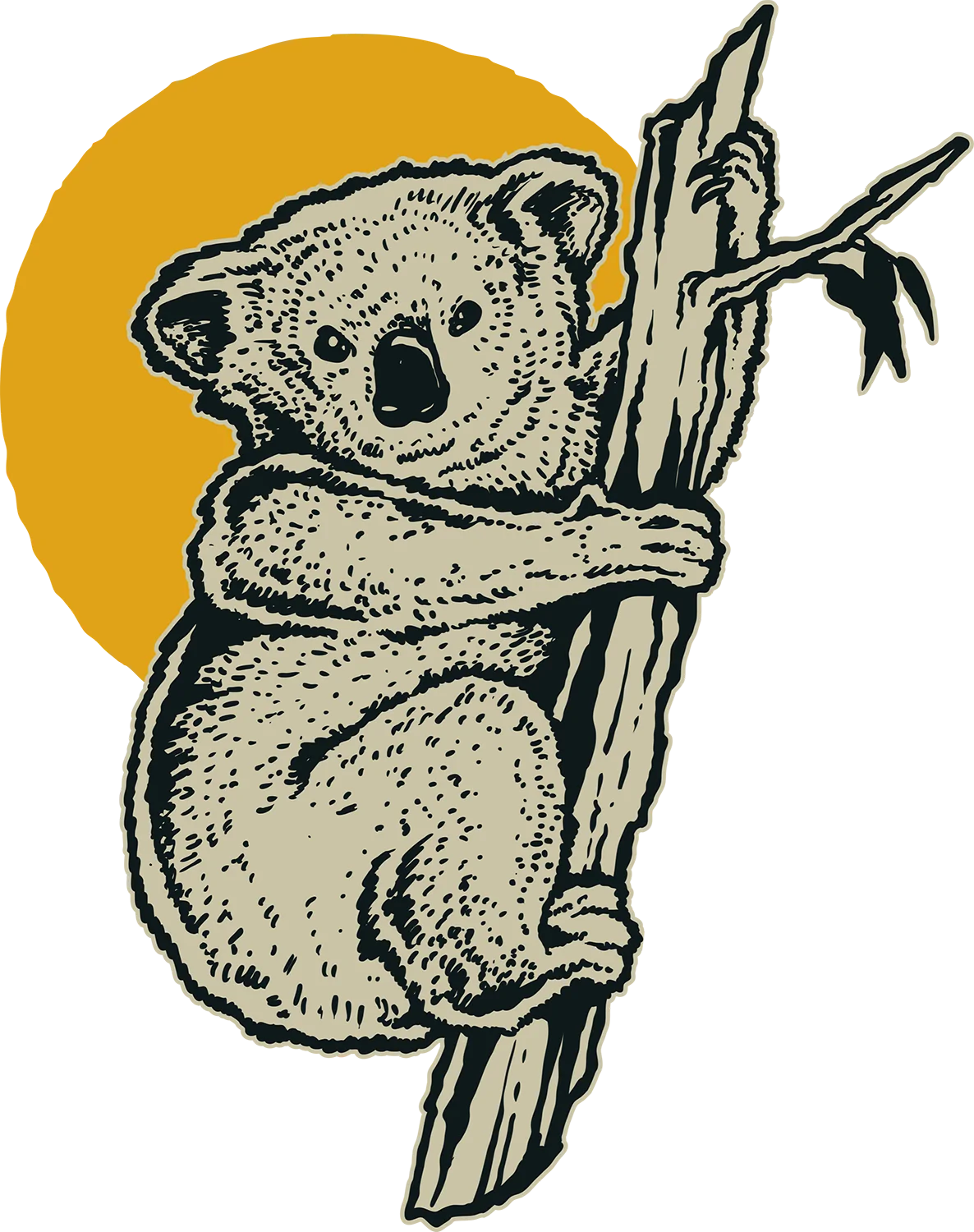Koala
