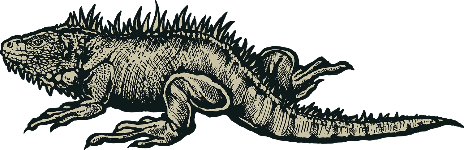 Lizard