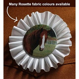 4" Rosette Badge