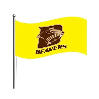 3' x 6' Rectangle Flag