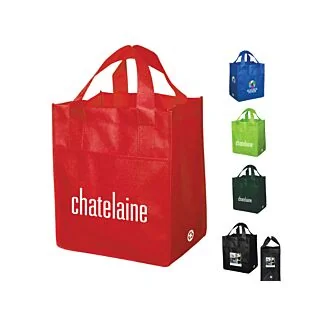 NW4300 Non-Woven Carry All Bag