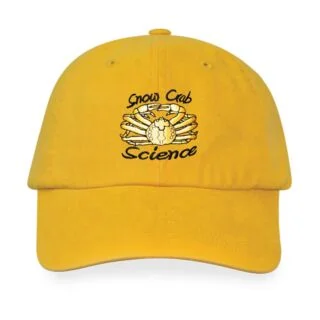 KC-8100 Unconstructed Cotton Washed Brushed Gap Cap (Adult)