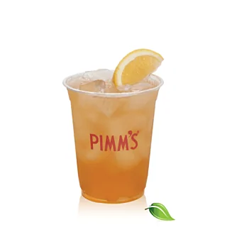 12 oz Clear Plastic Cold Cup
