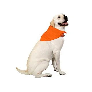 BP-4800T 22" x 22" x 29" Triangle Bandanas for Dogs