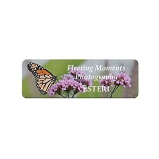 Full Colour Plastic Name Badge (3" x 1")