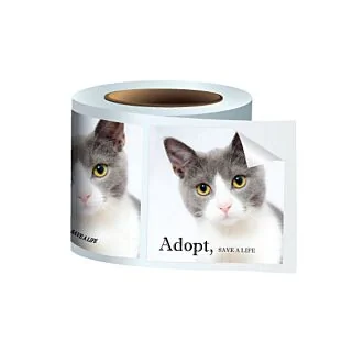 3.5" Square Glossy Stickers On a Roll