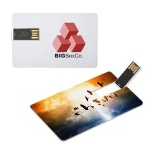 8GB Info Card Flash Drive
