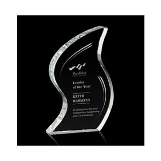 7.5" Nexis Award