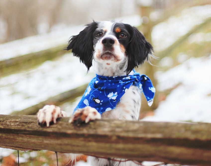Canada's Custom Bandana Supplier