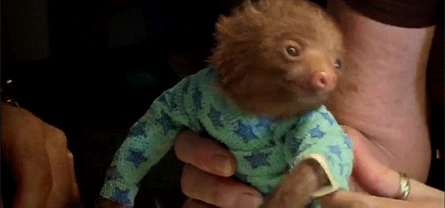 winter-toronto-sloth pjs