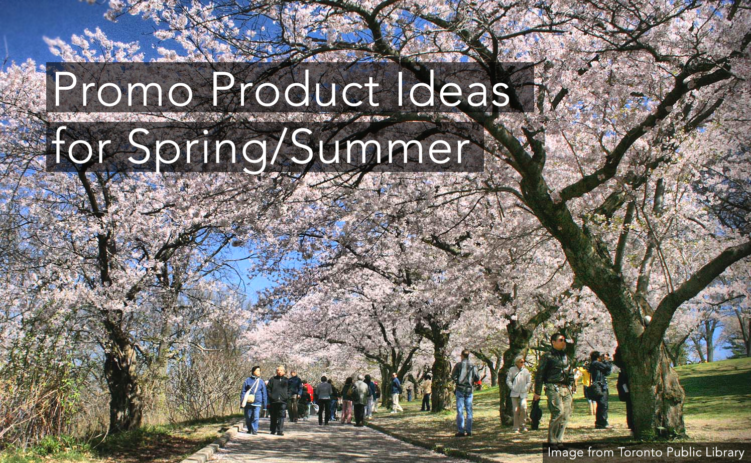 Promo Product Ideas for Spring/Summer in Toronto!