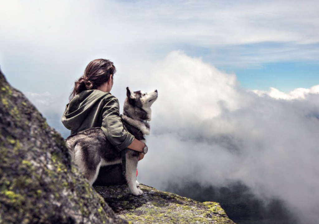 Printed bandanas for climbers